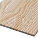 Фиброцементные панели FCSPRO Decor Wood Лиственница купить в Сызрани