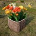Цветник КАНЬОН купить в Сызрани
