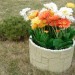 Цветник КАНЬОН купить в Сызрани
